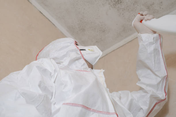 Best Crawl Space Mold Removal  in Flower Mound, TX