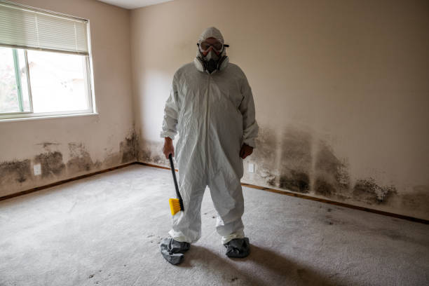 Best Residential Mold Removal  in Flower Mound, TX